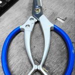 Gunting Dahan Ranting Bonsai 22cm C-Mart