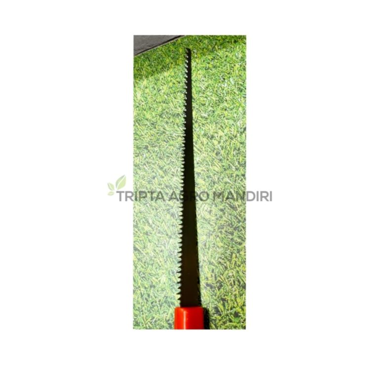 Gergaji Dahan Potong Ranting 27 Cm Alisan - Jual Alat Perkebunan dan ...