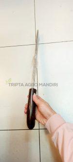Golok Sarung Kayu 45 Cm - Gambar 3