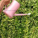 Pot Siram Gembor Watering Can 2 Liter Pink
